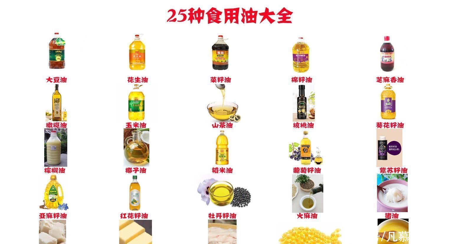 色拉油、调和油有什么区别？盘点25种食用油大全，哪种比较好吃