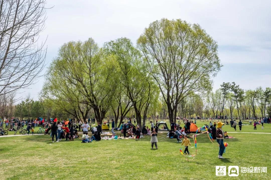 一席公园地产，于此悦鉴自然生活美学|海通·碧仙湖畔| 东营植物园