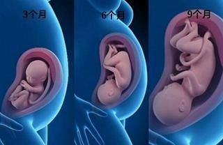 胎儿在腹中的 胎动 变化 正常与否 与孩子智商高低有密切关系 全网搜