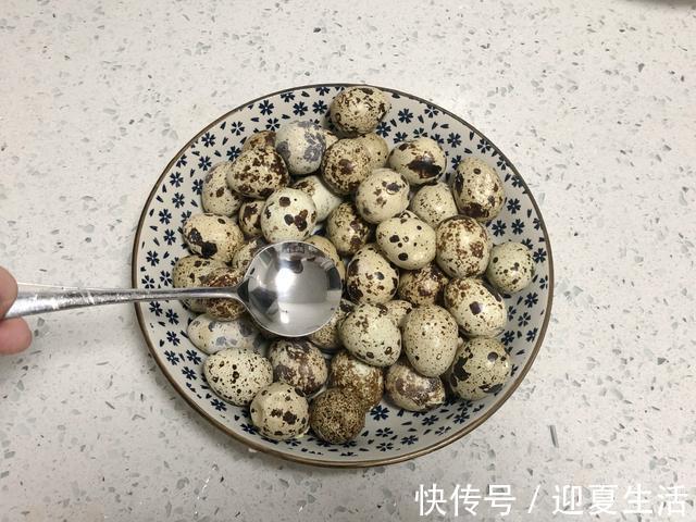 鸡蛋|它是动物中的人参,是零食又是菜,营养不输鸡蛋,我家隔三差五吃