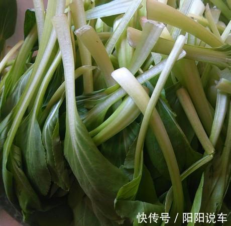 青霉素|它是“天然青霉素”,一周吃两次,感冒咳嗽躲着走,很少有人知道