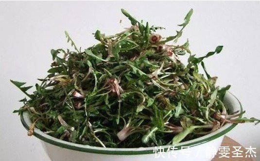 艾草|以下几种野菜,竟是清热解毒和养肝明目的良药,好吃更健康