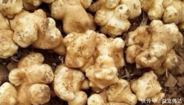 营养成分|4物是糖尿病的“死对头”,生活中尽量多吃点,或助血糖慢慢下降