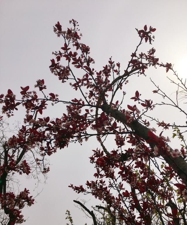 玩转色彩 品鉴宇舶表Big Bang Unico黄色魔力腕表