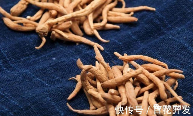 西洋参|劝告大家有一味中药健脾润肺，调理失眠，杀菌消炎，清肺化痰预防肺癌
