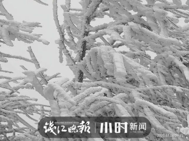 毛毛雪|杭州下雪了！这里已经一片白茫茫