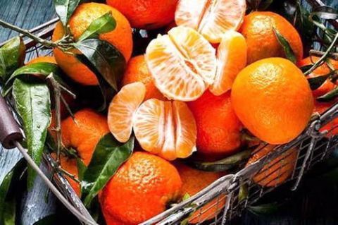 饭量|老年人吃的饭量少,但应确保营养和健康需要