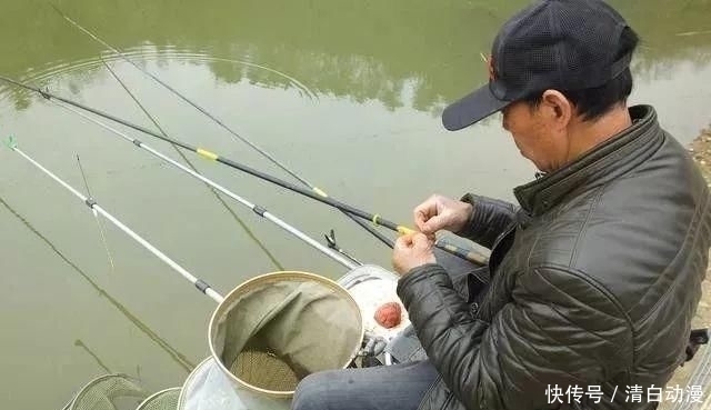 钓鲫鱼|鲫鱼最爱的饵料不在渔具店,而在菜市场,这3样东西混合就可以