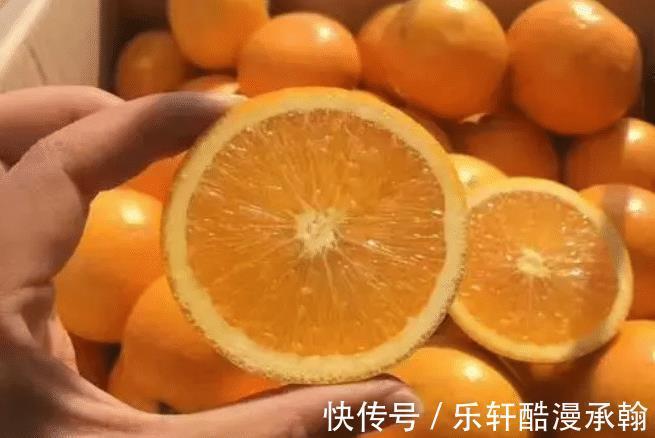 买橙子看一个明显位置,放心挑到肉多香甜的橙子,分享技巧快来看