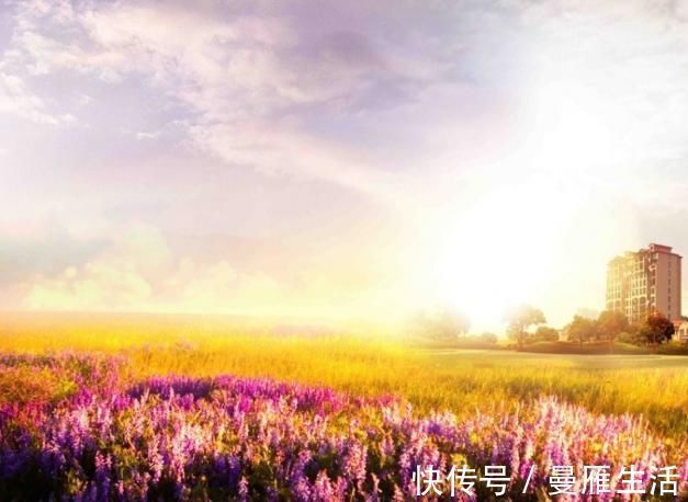 太冲脉盛|我们身体有一条经络，人的健康与衰老都跟它有关！默默给你讲清楚