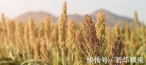 胃病|胃不好的人，这些食物尽量别吃，别到胃病发作时才知道