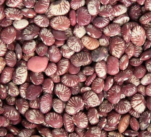 板栗|长寿老人爱吃的食物，排毒清肠，延缓衰老，增强抗病能力