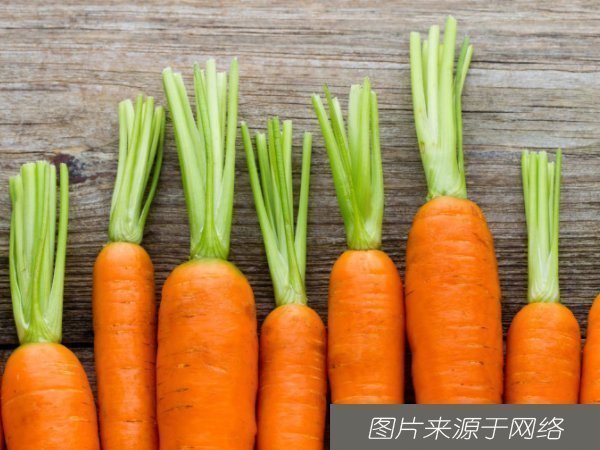 血脂|天然“溶栓王”找到了,中老年人每天吃一点,血栓慢慢通开了