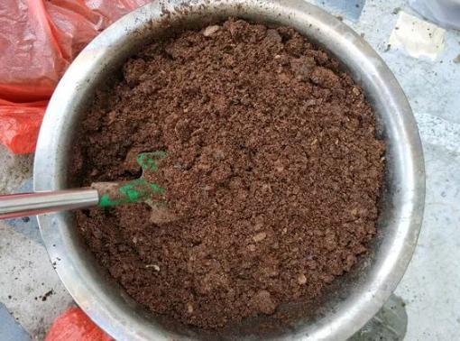 骨粉|养君子兰、长寿花，盆里撒点“万能肥”，新芽猛长，呼呼开花！