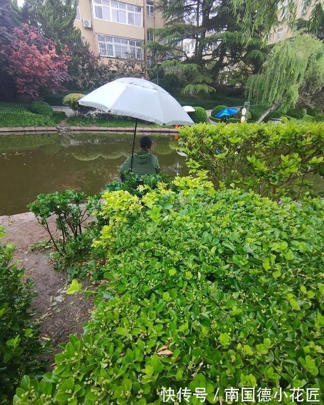 鲫鱼|向高龄钓友请教的“摇三摇”钓法，毫无保留的分享给大家