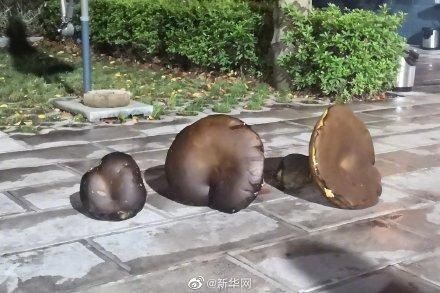 景东|2.8公斤巨型野生牛肝菌现身云南景东