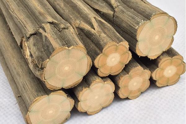 降龙木|降龙木是什么树被穆柯寨封为神木(树皮长有六道棱)