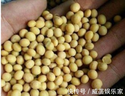 养花“学会1招”，盆里埋上“它”，枝叶呼呼窜，养啥都“爆盆”