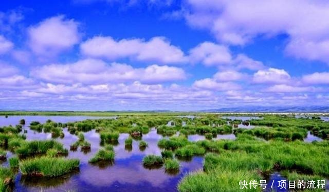 地处|我国三大湿地之一，地处黄河上游的大拐弯，称之川西北高原的绿洲