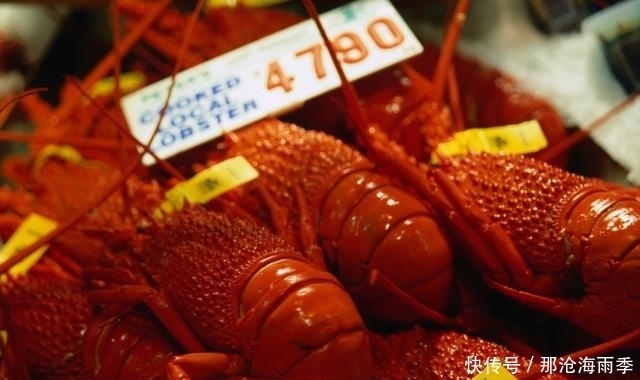 听说澳大利亚是个不会钓鱼都能钓上来鱼的地方,果然钓爆了