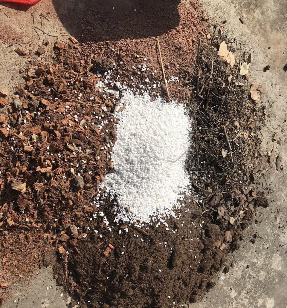 坏习惯|养花有这“3个坏习惯”,花盆里面会起“碱”,用4个方法解决