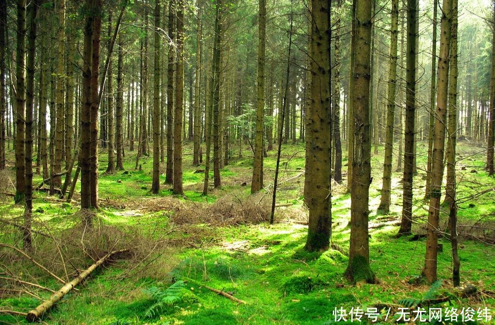 世人常说“黄泉路”,是否真的存在?其实无法解释