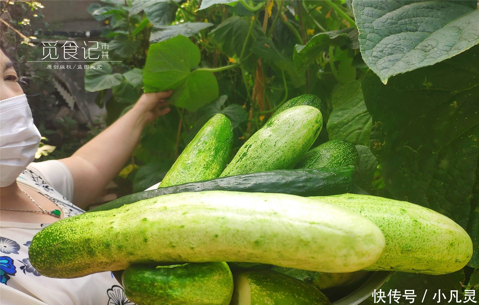 好吃|奶奶用了30多年的腌黄瓜配方,一次腌20斤,嘎嘣脆,咸香特好吃