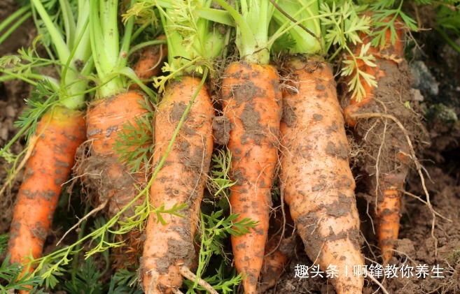 过敏性皮炎|此物是天然的降糖降压工,每天当零食吃一把,身体更健康