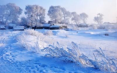  喝火令、雪夜偶书