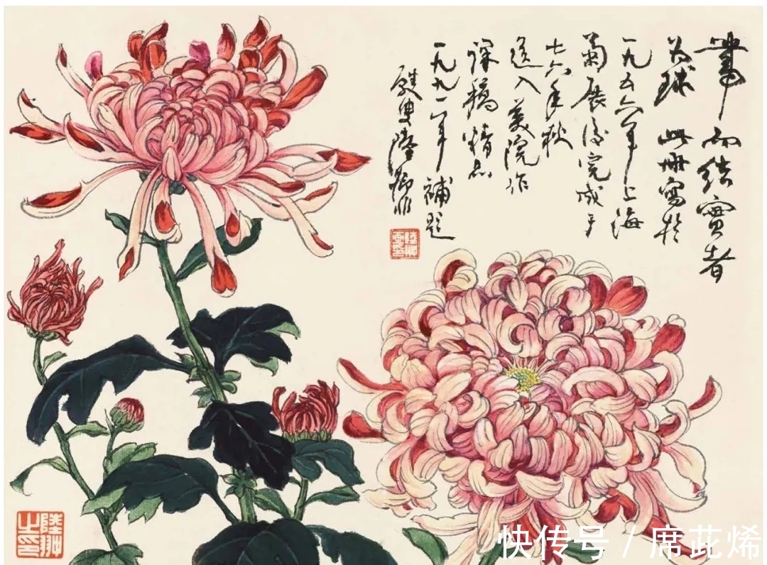 中国画#他一手花鸟得南田遗韵,清雅明丽,恰似清风徐来|陆抑非花鸟画