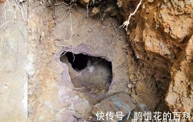 专家们!这个墓是中国古今第一凶墓,80名盗墓贼命丧于此,包含数个朝代