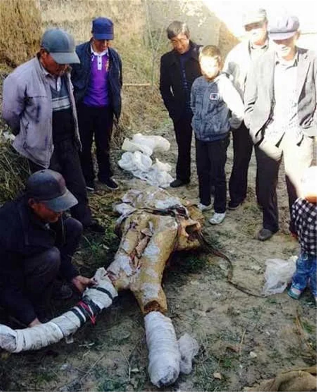 青藏高原&青藏高原曾出现长牙巨兽,3米獠牙重达6吨,剑齿虎见了都绕道走