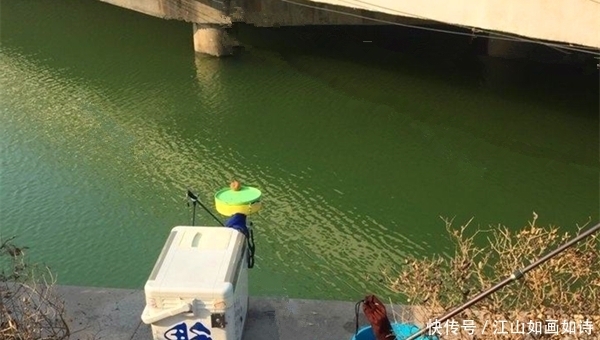 气泡|冬季钓鲫鱼,先找鱼窝再下竿,水下是否有鱼,从这两点可以看出来