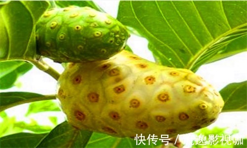 女性|女性要常给自己的身体排毒,推荐多吃4种食物,排毒素,清污血