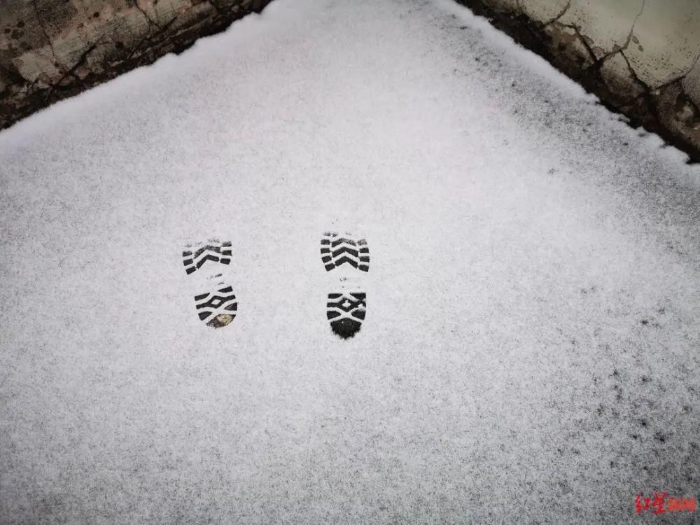 昨天|它来了，它带着“头皮雪”来了！昨天半夜，有成都人带着手电筒找雪！