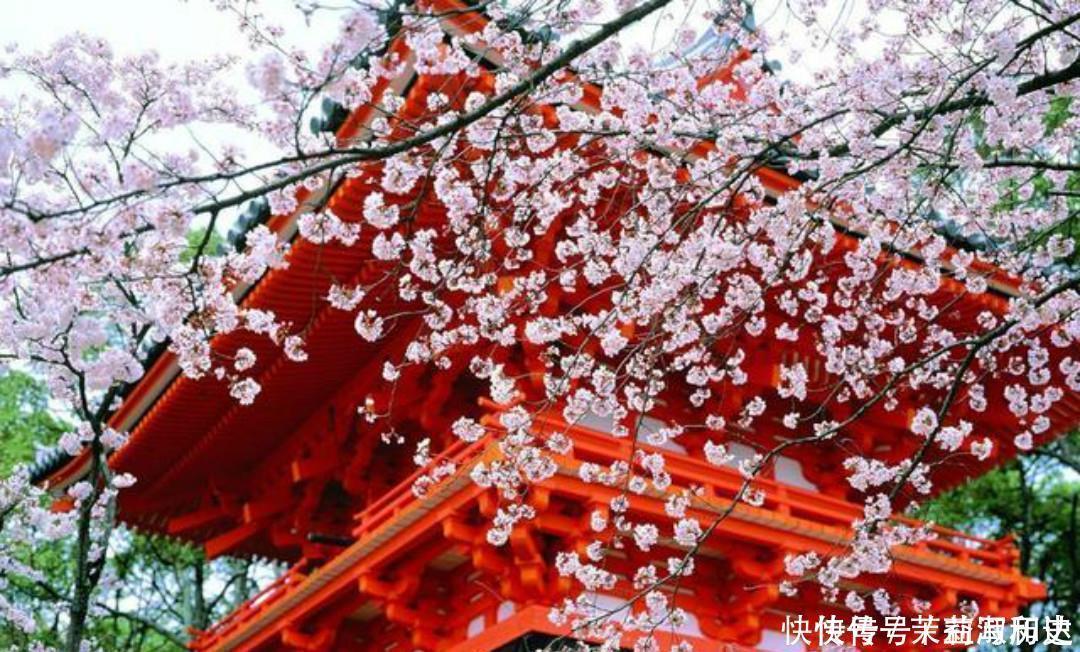 惊艳|暮春时节落花纷纷,周敦颐写下一首诗,短短的几句美得令人惊艳!