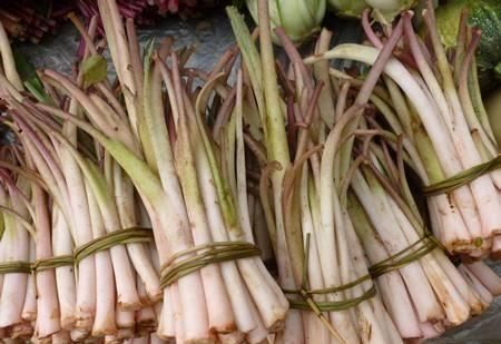 膳食纤维|想长寿要多吃,三种食物不可少,排毒养颜,身体棒棒哒!