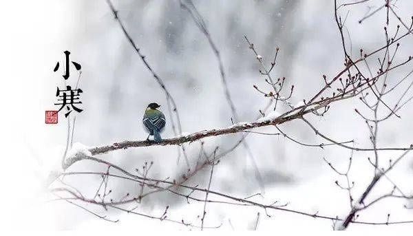 冬泳|节气｜小寒“三九”寒风送，温阳健体过严冬