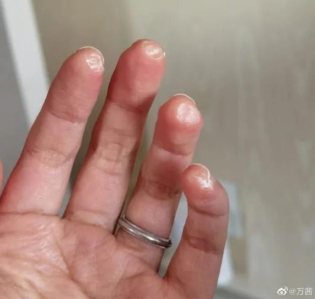 姐姐们 乘风破浪的姐姐们有多“狠”你根本就不知道