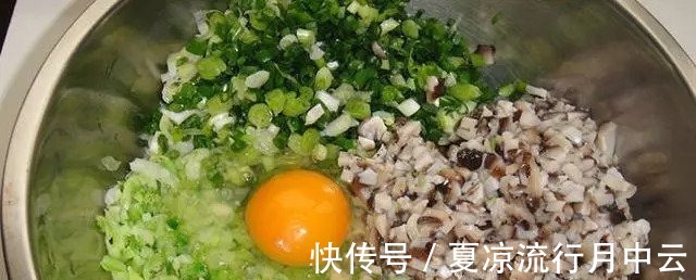 豆腐皮|12款素饺子做法集锦,有了这个家人有口福了!