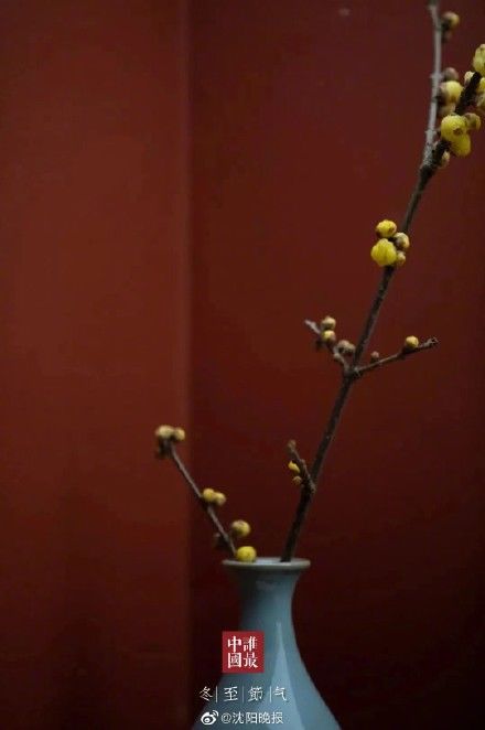 大吉日$冬至日 祝您浅喜暖望、岁月无忧!