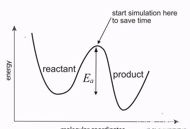 用计算机真正模拟生命还要多久