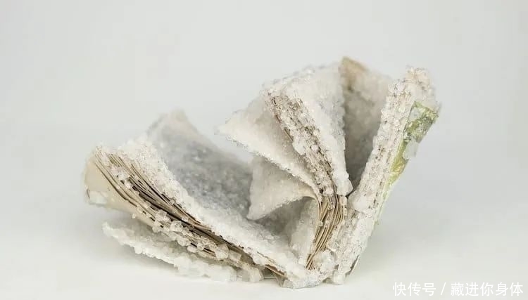 书本&她创作雕塑时“开挂”了:把书丢进水里,等2天作品就完成了
