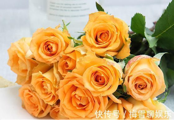 喜欢菊花,不如养盆“稀有玫瑰”假日公主,花开金灿灿,活力四射