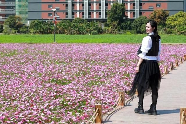 低薪|东莞“小蛮腰”刷屏朋友圈！牛年这些景点很“红”