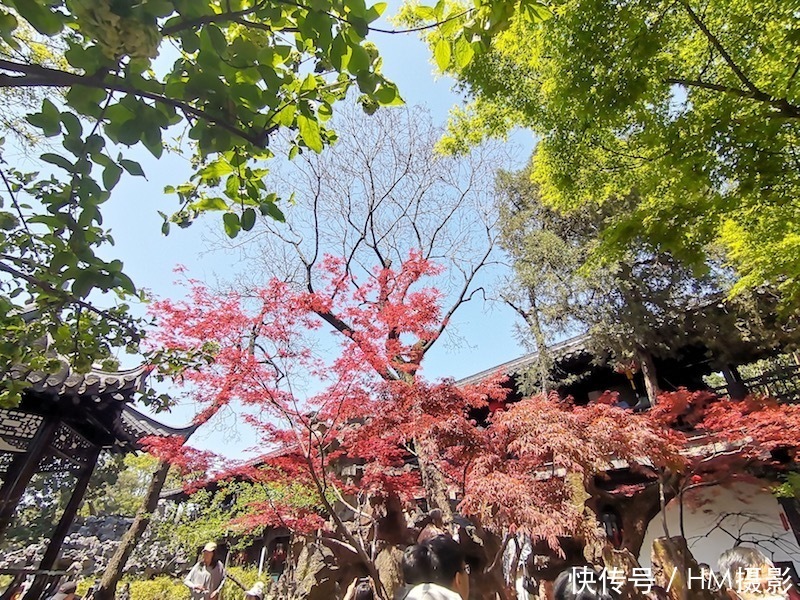 扬州三天旅行游记—六千五百字