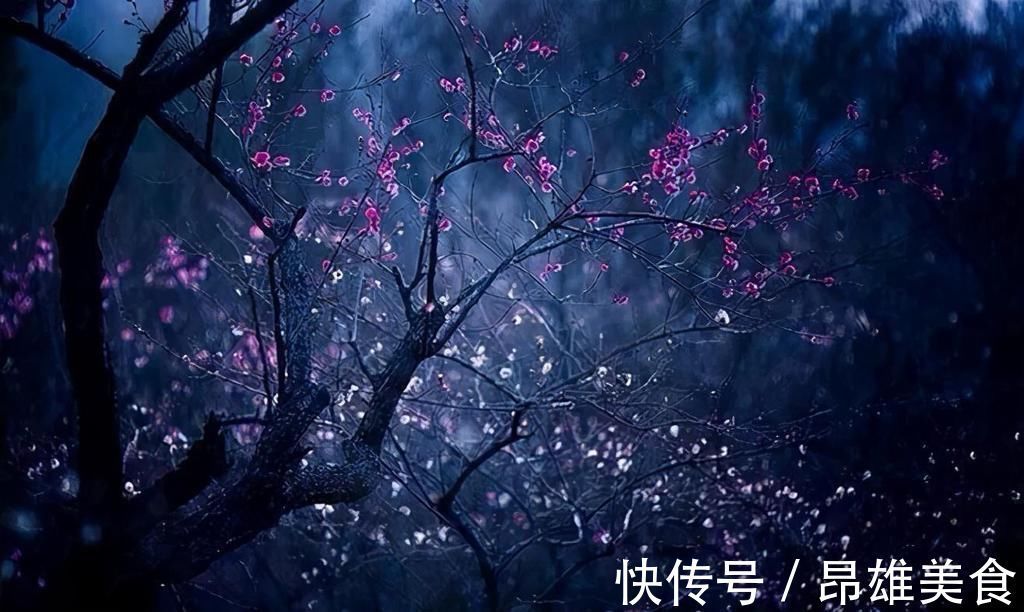 梅花|晏殊的曾孙另辟蹊径,写下一首咏梅禅诗,短短56字令人叫绝