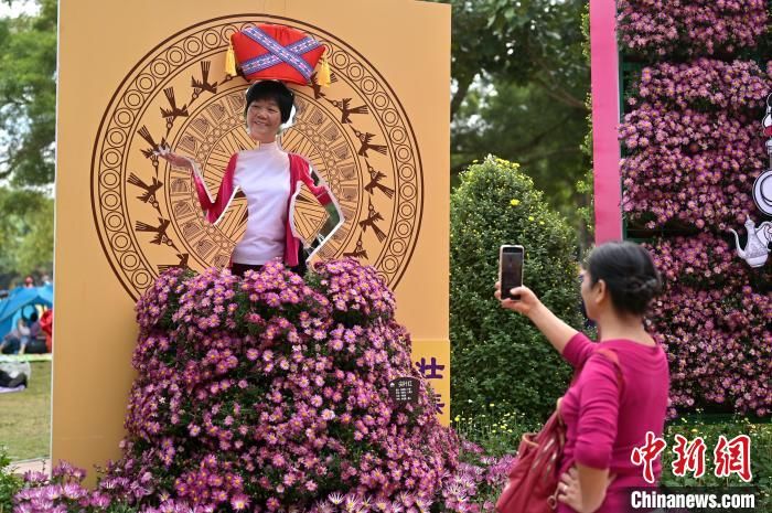 南宁|8万盆菊花亮相广西南宁引游人