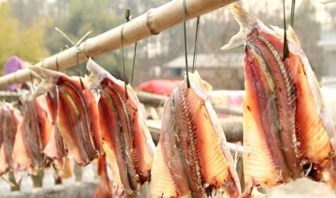 以下的三种鱼不建议多吃,流失营养还有毒素,快来了解吧!