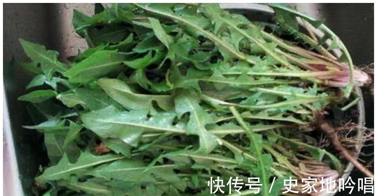 苏医师|女性中年养生,记得吃的好食物,补益气血,抗衰老,身体不显老